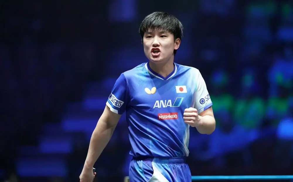 毕竟日韩都 毕竟日韩都